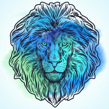 Hand drawn lion head illustration
