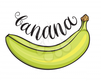 Hand drawn banana, isolated on white background. Decorative doodle vector illustration