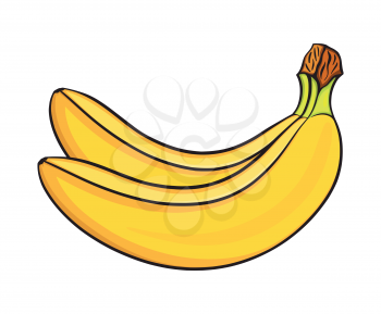 Hand drawn bananas, isolated on white background. Decorative doodle vector illustration