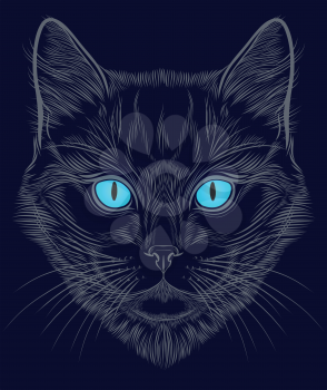 Cat portrait hand drawn in lines. Stylized doodle isolated vector illustration