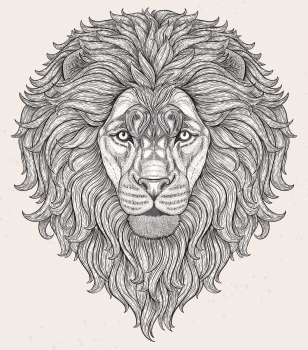 Lion head hand drawn in lines isolated on white background. Decorative doodle vector illustration. Perfect for postcard, poster, print, greeting card, t-shirt, phone case design