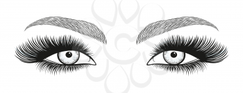 Stylized decorative makeup set. Hand drawn bright eyes with thick, long eyelashes and perfect brows. Vector illustration