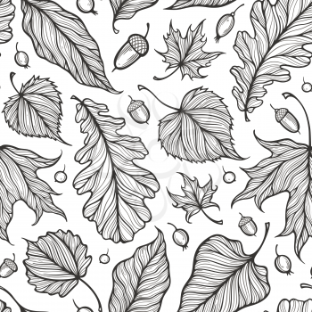 Falling leaves colorful vector illustration. Decorative autumn leaves beautiful seamless pattern. Hand drawn organic lines collecton isolated on white background