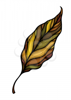 Falling leaf colorful vector illustration. Decorative hand drawn organic autumn leaf collection. Isolated on white background