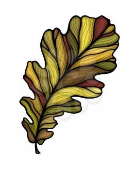 Falling oak leaf colorful vector illustration. Decorative hand drawn organic autumn leaf collection. Isolated on white background