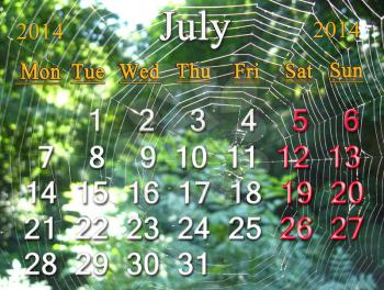 calendar for the July of 2014 on the green background of spider's web