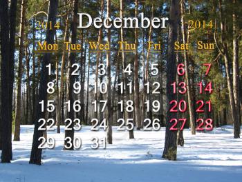 beautiful calendar for the December of 2014 on the background of winter forest