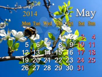 calendar for the May of 2014 year on the background of flying bumblebee