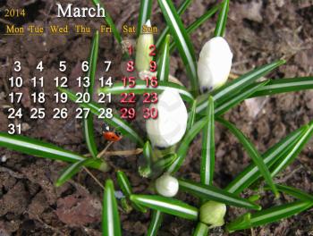 calendar for the March of 2014 year with crocus