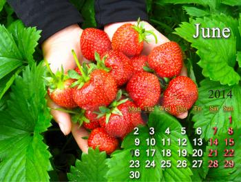 calendar for the June of 2014 year on the background of fresh strawberry