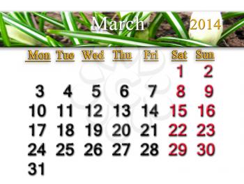 calendar for the March of 2014 year with crocus