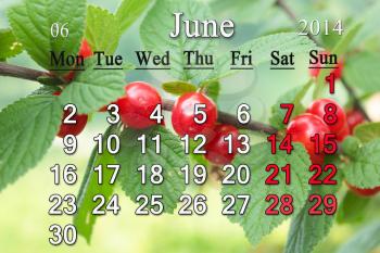 calendar for the June of 2014 on the background of red berries of Prunus tomentosa