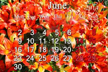 calendar for June of 2014 on the background of red lilies