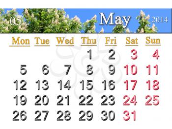 calendar for May of 2014 on the background of crowns of chestnut