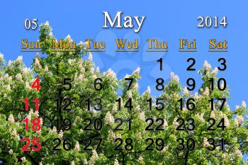 calendar for May of 2014 on the background of crowns of chestnut