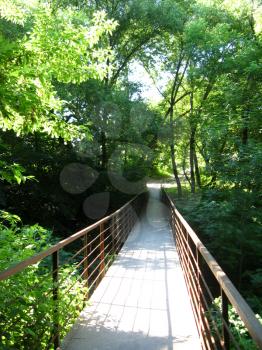 The bridge across ravine in the park