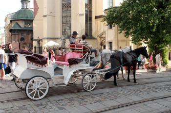 promenade coach with two harnessed horses running in Lvov