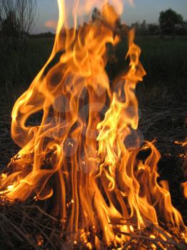 body of flame inflaming in a field