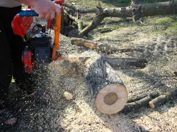 The man sawing the firewoods by petrol saw