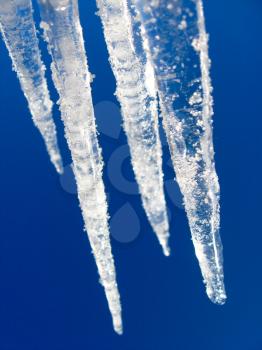 Four icicles on a background of the blue sky