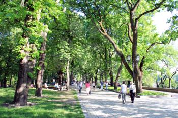 people having a rest in park with greater trees
