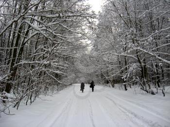 Winter landscape with two people going on winter road