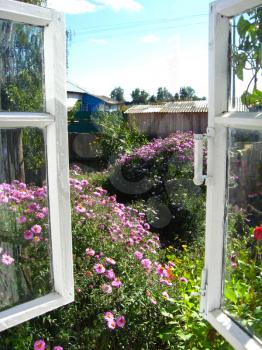 The open window in a summer garden
