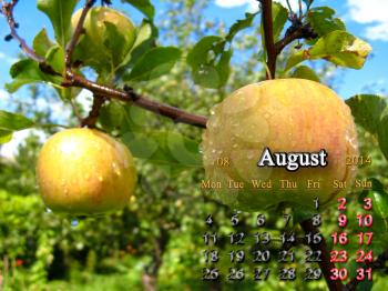 beautiful calendar for the August of 2014 year with apples