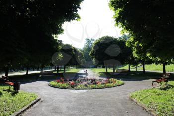 Beautiful city park with pathes and green tree in Lvov
