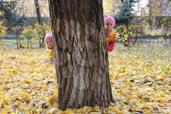 two little girls hiding themselves behind the tree in the park