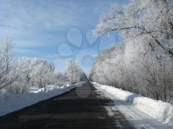 Winter landscape with snow-covered road and hoarfrost on the trees