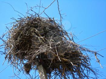 Nest of storks in village on a background of the blue sky
