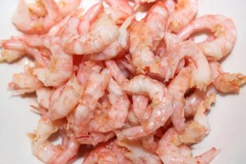 the image of many boiled tasty and refined shrimps