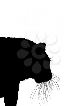the image of black silhouette of tiger isolated on a white background