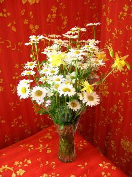 beautiful bouquet with set of white camomiles
