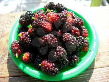 the image of ripe mulberry on the plate