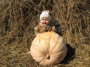 The image of The baby hidden behind a huge pumpkin