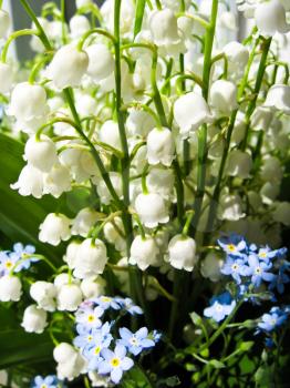 Beautiful bouquet of lilies of the valley and blue flowers