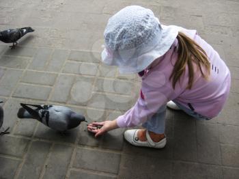 The girl feeding the pigeons on the road