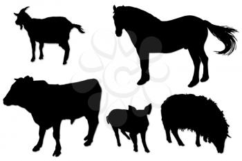 the image of black silhouettes of domestic animals on the white background