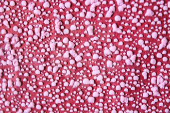 the image of pink pimples on a red background
