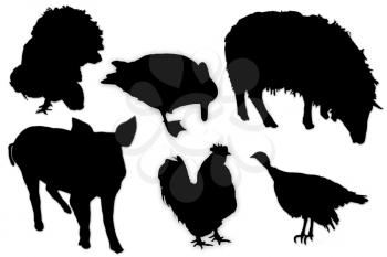 black silhouettes of domestic animals and birds on the white background