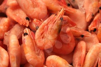 the image of many boiled tasty shrimps