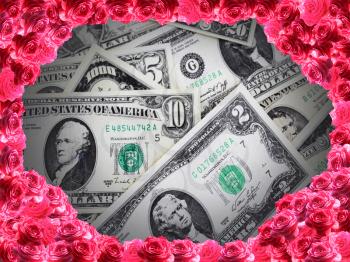 banknotes of American dollars placed in the frame from roses