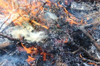 body of flame inflaming in the field