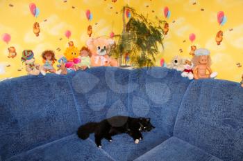 black cat sleeping on sofa in the children's room