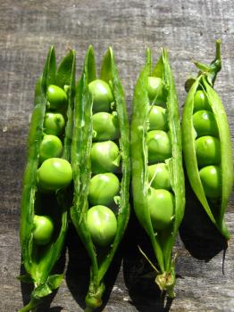Fresh green pea pods on the plate