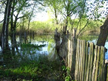 image of flood on the river in the spring