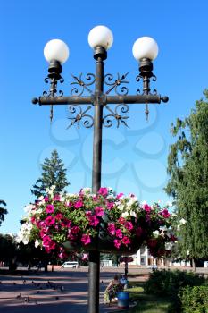 image of lanterns in city park with hanging flowers