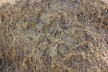 image of grey background of a lot of hay
